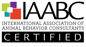 IAABC Certified Behaviorist