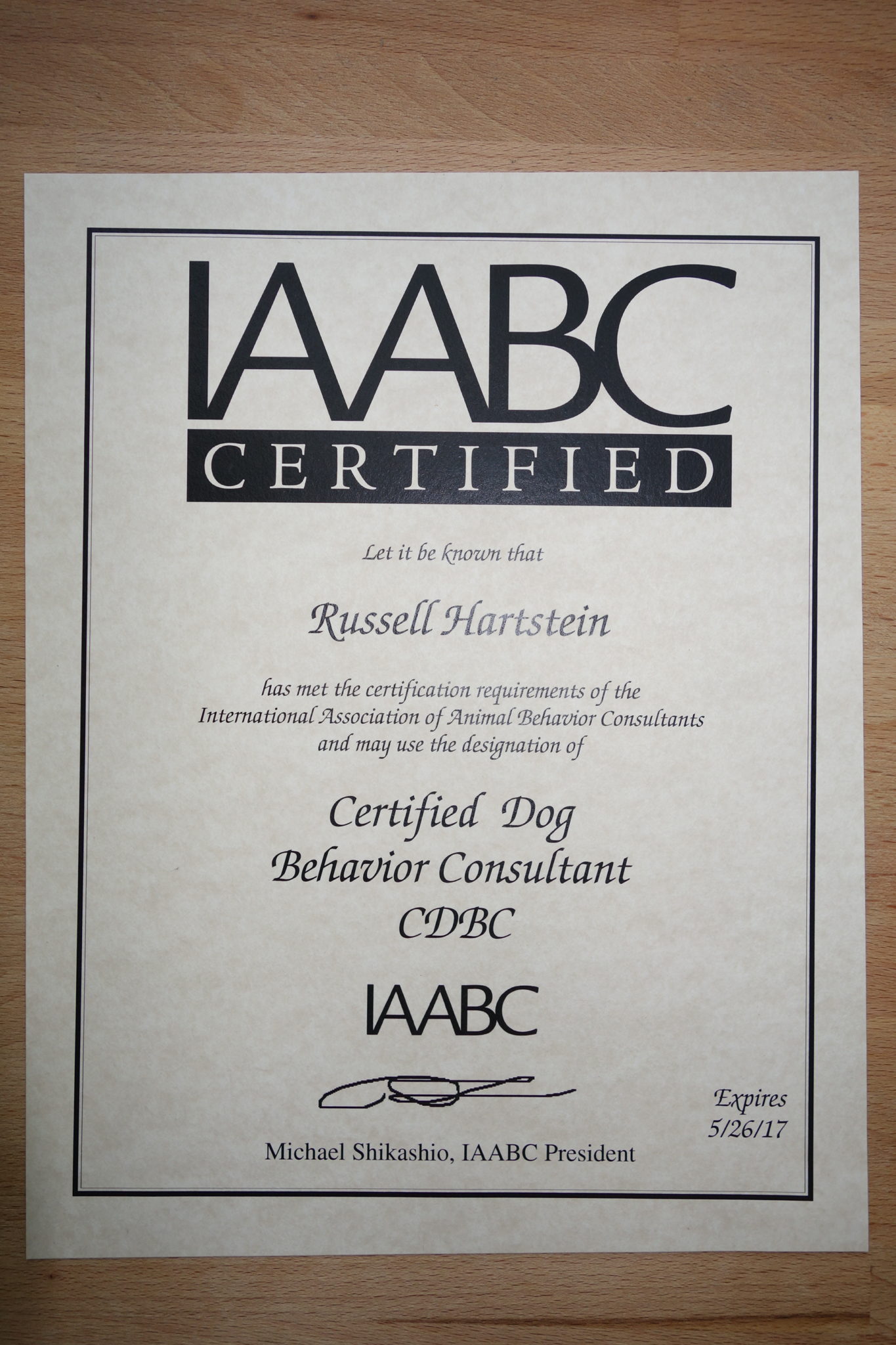 Certified Dog Behaviorist & Trainer in Los Angeles, CA - Fun Paw Care