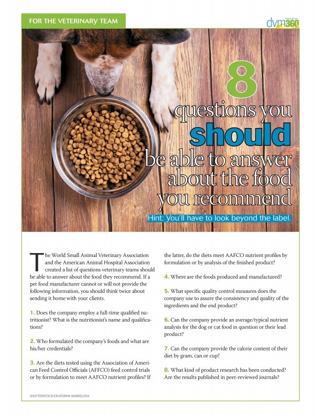 Questions to ask about dog food