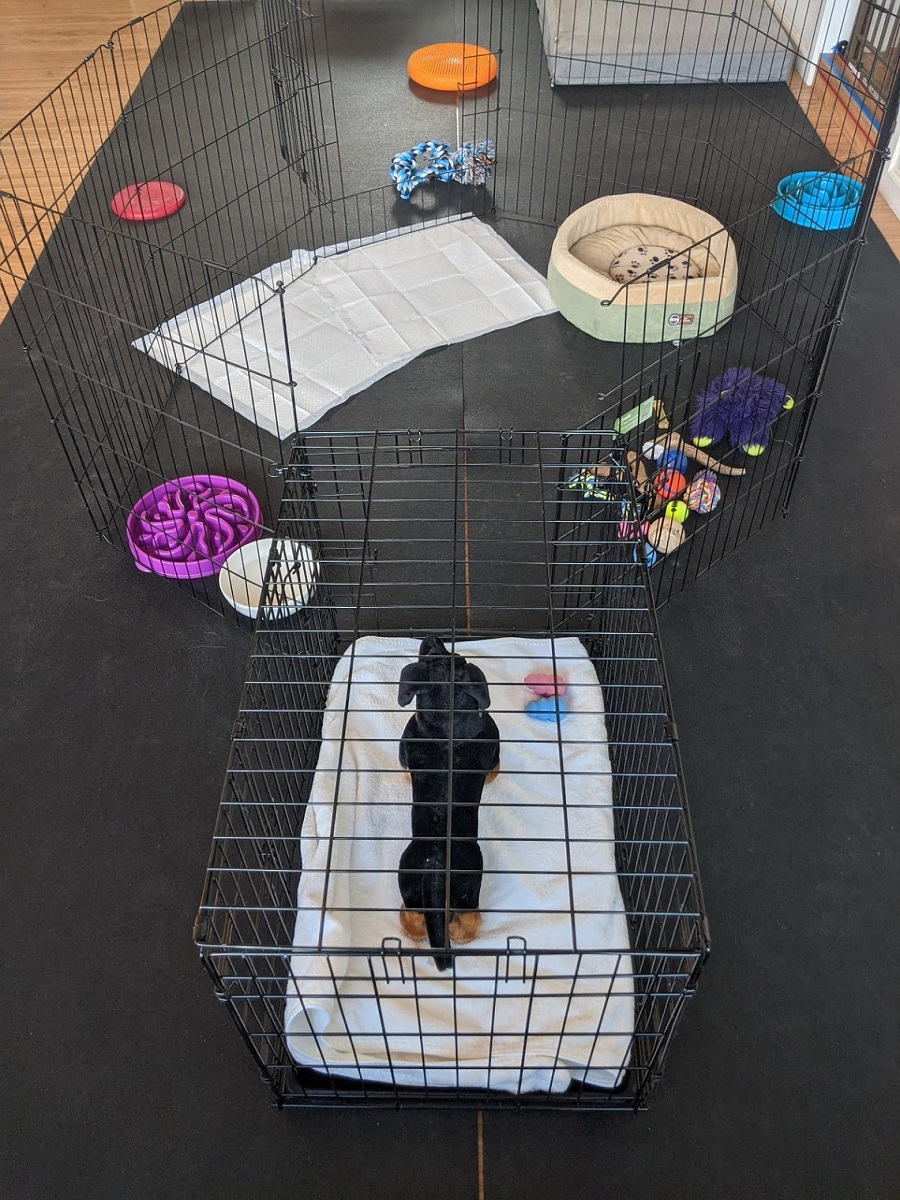 Dog Crate attached to the outside of the Xpen