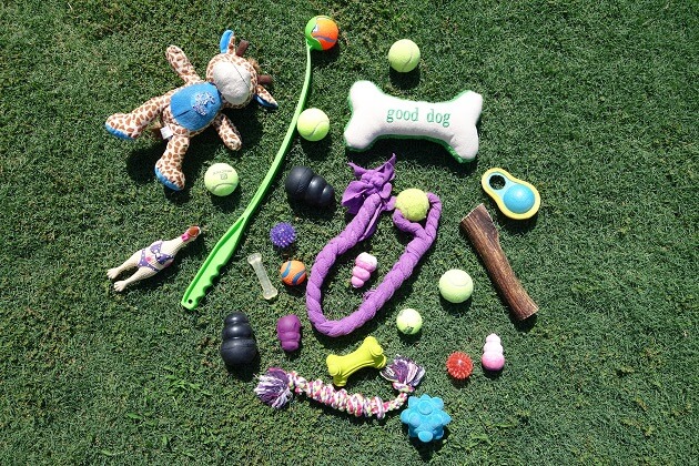 Enriching 10 Toys for Dogs Who Love to Shred