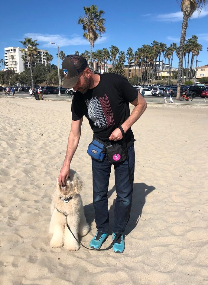 Pacific Palisades Dog Training